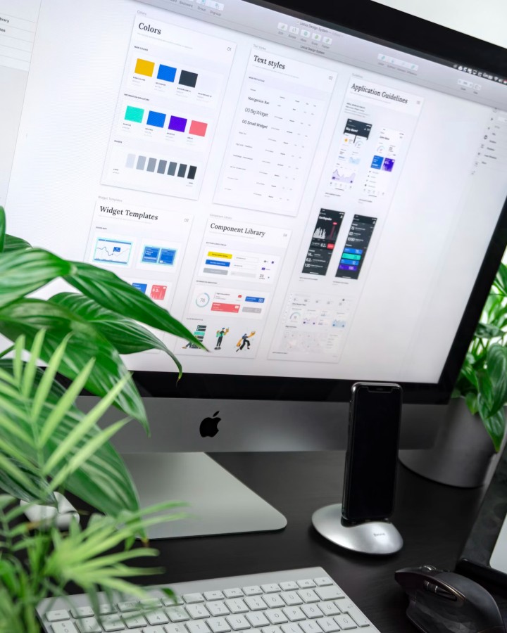CMS Development services by Mind Source